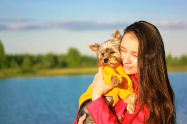 Genç, güzel, gülümseyen bir kadın Yorkshire Terrier 'lı mutlu köpeğe sarılıyor. Kırmızı ceketli bir kız, sarı kazaklı safkan bir köpek, güneşli bir sonbahar gününde nehir kıyısında dinleniyor. Hayvanlara değer veren.