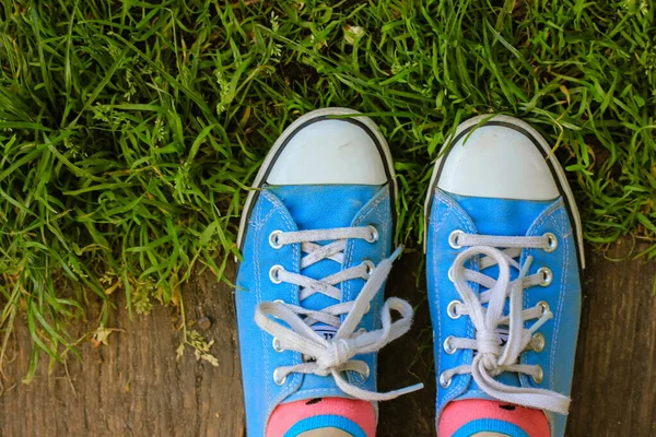 Pair Classic Vintage Shoes Girl Blue Sneakers Pink Socks Stands — Stock Photo, Image