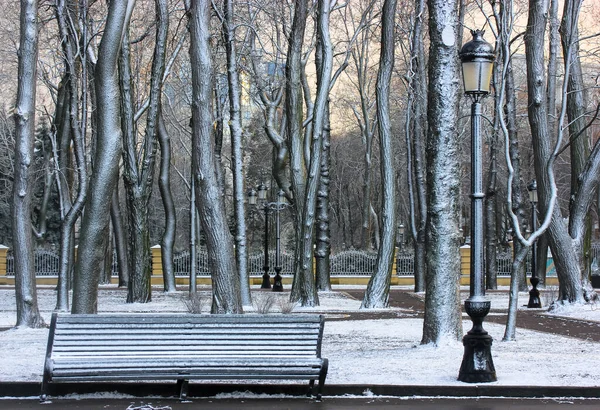 Stadtpark im Winter. Stämme kahler Bäume bedeckt mit weißem Schnee vor gelbem Himmel. Die Bäume haben Blätter fallen lassen, der erste Schnee ist gefallen. Draußen ist es kalt. Eine Holzbank und eine schwarze Laterne — Stockfoto
