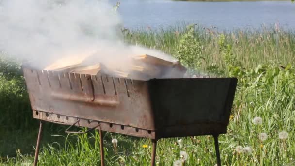 Suche Drewno Płonące Pożarze Metalowym Grillu Lato Wiosenny Weekend Piknik — Wideo stockowe