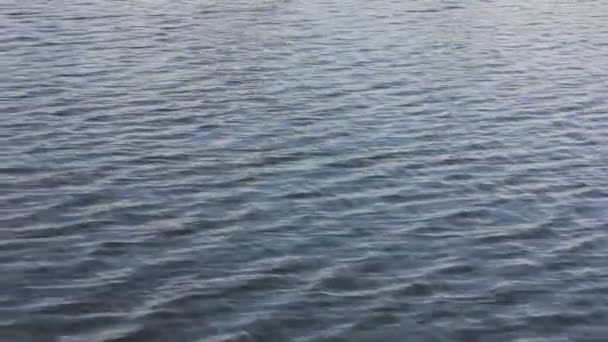 Een Rustige Stroom Van Diep Water Een Rivier Zee Meer — Stockvideo