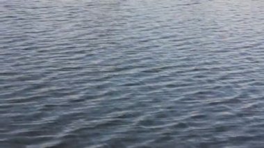 Nehirdeki, denizdeki, dışarıdaki göldeki sakin bir su akıntısı. Su yüzeyinden bir manzara. Küçük dalga dokusu. Mavi deniz arkaplanı. Doğal manzara soyut arka plan. Tam HD görüntü.