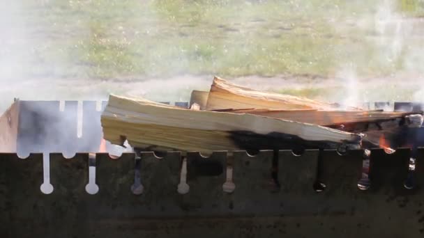 Trockenes Holz Das Feuer Einem Metallgrill Kohlenbecken Brennt Vorbereitung Auf — Stockvideo