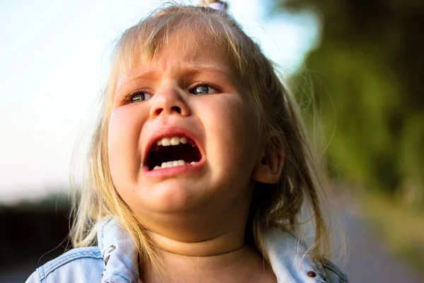 Ένα Χαριτωμένο Όμορφο Ξανθό Κοριτσάκι Ετών Κλαίει Ένα Καλοκαιρινό Πάρκο — Φωτογραφία Αρχείου