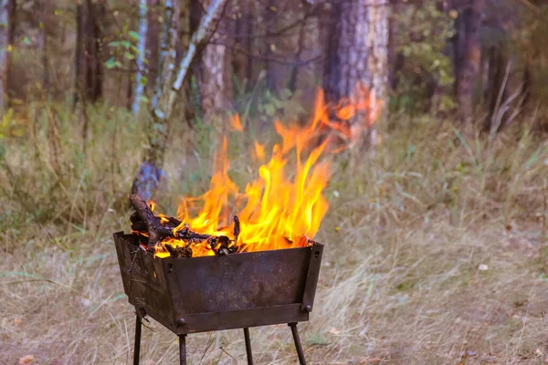 Black old metal brazier with wood blazing in the orange flames of a bright fire in an autumn forest on a gloomy, cool day. A picnic in a countryside. A source of warmth outdoors. Grill. BBQ. Wood fire