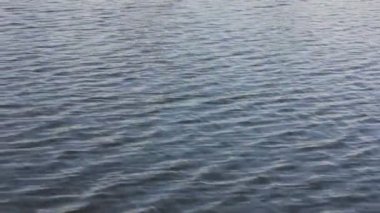 Nehirdeki, denizdeki, dışarıdaki göldeki sakin bir su akıntısı. Su yüzeyinden bir manzara. Küçük dalga dokusu. Mavi deniz arkaplanı. Doğal manzara soyut arka plan. Tam HD görüntü.