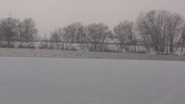雪落在平静的湖面上 能见度很低美丽的雪白的自然景观 第一场白雪慢慢地从天空下到地面 地平线上的无花果树 12月 — 图库视频影像
