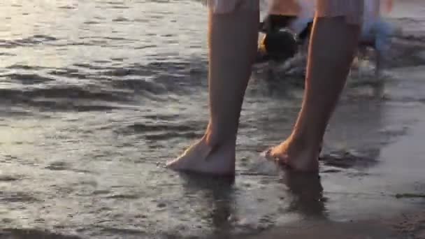 ピンクのスカートをはいたスリムな足の少女は 水の中に裸足で立ってドレス ジャック ラッセル テリアの犬が近くを走っている アヒルが水の中で泳いでいる 夏に海岸 海岸で休日 — ストック動画