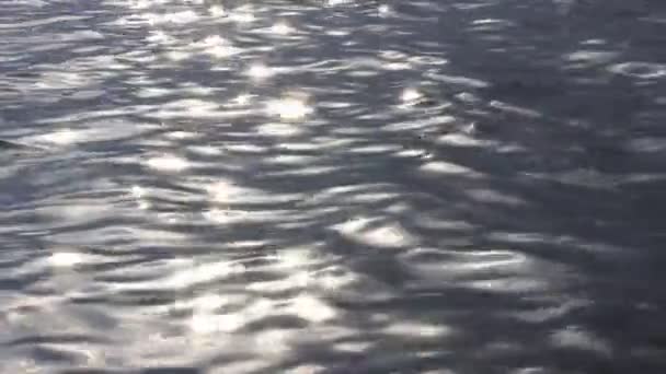 Zonnestralen Reflecteren Een Wateroppervlak Zonnestralen Glinsteren Een Vredig Stromend Water — Stockvideo