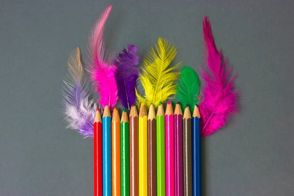 Grupo Conjunto Lápis Madeira Multicoloridos Penas Coloridas Brilhantes Jazem Uma — Fotografia de Stock
