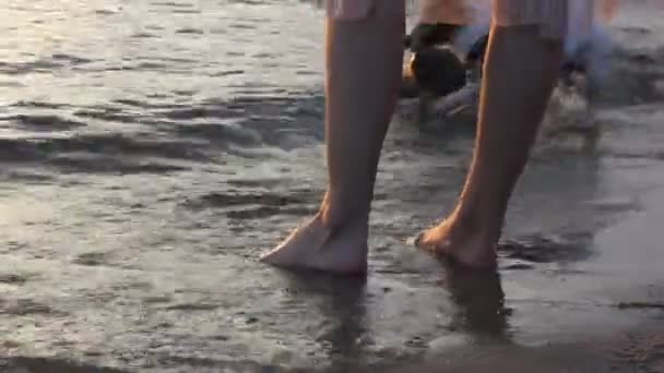 Ein Mädchen mit schlanken Beinen trägt einen rosafarbenen Rock und steht barfuß im Wasser. Jack Russell Terrier Hund läuft in der Nähe. Enten schwimmen im Wasser. Urlaub am Meer, Fluss, Meeresküste im Sommer. — Stockvideo