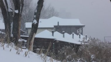 Bir malikanenin çatısı, kır evi, nehir kıyısında karla kaplı özel bir ev. Kırsalda kış yağışı. Çıplak ağaçlara düşen kar taneleri, sazlıklar. Bir köyde kış, banliyölerde.
