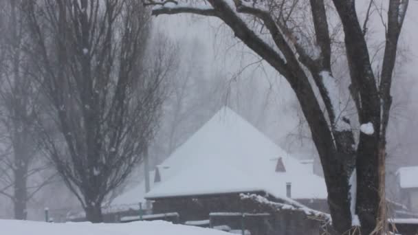 Um telhado de uma casa privada de um andar coberta de neve. Uma queda de neve de inverno em um campo. Grandes flocos de neve que caem de um céu a um chão, em troncos de árvores nus, ramos. Inverno em uma aldeia — Vídeo de Stock