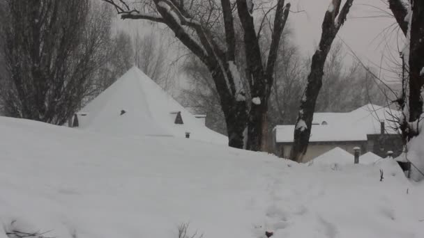 Крыша частного одноэтажного дома, покрытого снегом. Зимний снег в сельской местности. Большие снежинки падают с неба на землю, на голые стволы деревьев, ветви. Зима в деревне — стоковое видео