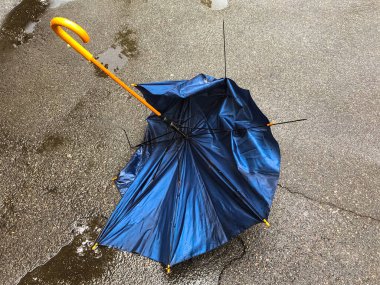 Siyah kırık bir kamış şemsiyesi bir su birikintisinde kaldırımda yatıyor. Kırık telleri ve tahta sapı olan bir şemsiye. Kötü hava, kasırga, fırtına, rüzgar, yağmur. Bir bahar ya da yağmurlu bir gün için suç ortağı. 