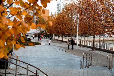 Kyiv, Ukrayna 25 Ekim 2025 Sonbahar şehir parkı altın ağaçlarıyla modern yollar boyunca yürüyen insanlar. Sıcak şehir manzarası, sonbahar havası, çağdaş mimari, günlük yaşam tarzı mevsimsel titreşimler.