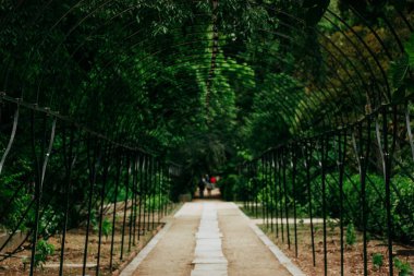 Bahçe yolu kemerli bir tünelin altından geçiyor. Keşifleri davet ediyor. Güzel bir bahçe yolu yemyeşil ile kaplı kemerli bir yapı tarafından çerçevelenir. İnsanlar yolun sonuna doğru yürür..