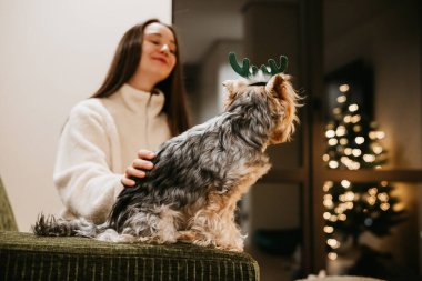 Evde neşeli bir Noel anı. Genç beyaz bir kadın süslü bir Noel ağacının yanında küçük bir köpek Yorkshire teriyeriyle sıcak ışıklar, kızlık zarı havası ve tatil yaşam tarzını paylaşıyor..