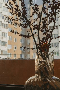 Pencere kenarına kırmızı böğürtlen dalları konmuş şeffaf cam bir vazo içeren minimalist iç hayat. Ilık doğal güneş ışığı duvarda zarif bir gölge ve ışık oyunu yaratır..