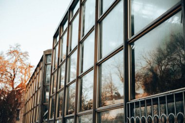 Seranın modern cam cephesinin minimalist, yüksek kontrastlı mimari çekimi. Çıplak ağaçların soyut yansımaları, ışık ve gölgelerle oynamak, şehir tasarımı kavramları için idealdir..