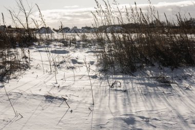 Çıplak çimenlerin ve kuru sapların sinematik çekimi taze kara uzun ve dramatik gölgeler düşürüyor. Bu otantik, minimalist kış manzarası kırsal bir arazinin sessiz ve soğuk güzelliğini yakalar..