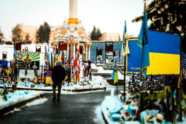 KYIV, UKRAINE - 13 Ocak 2026 Rus-Ukrayna savaşı kurbanlarına adanmış Meydan Nezalezhnosti 'de (Bağımsızlık Meydanı) bir anıtın önünden geçen bir kişi görülüyor. Binlerce küçük Ukrayna bayrağı.