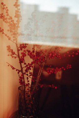 Atmosferik yakın plan kırmızı böğürtlenler pencerenin yanındaki vazoda yumuşak, sıcak bir ışıkla. Nostaljik film bakışlı estetik ev dekoru rahat, karamsar ve huzurlu bir sabah atmosferi yaratıyor..