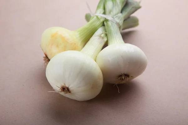 Kağıt arka plan üzerine soğan