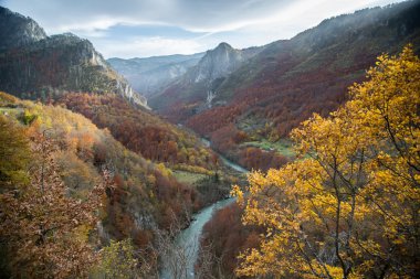 Montenegro.Tara river Kanyonu