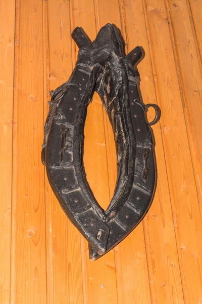 Horse tack on a wooden wall. — Stock Photo, Image