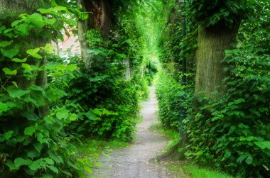 Işığa yol. Barbarossa yolu Dusseldorf Kaiserswerth