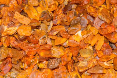 Baltık Denizi plaja Ambers  