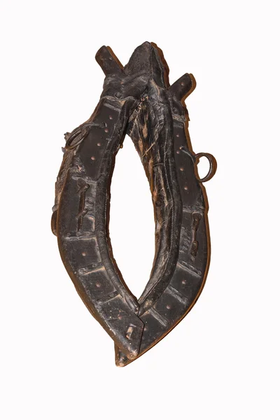 Horse tack on a wooden wall. — Stock Photo, Image