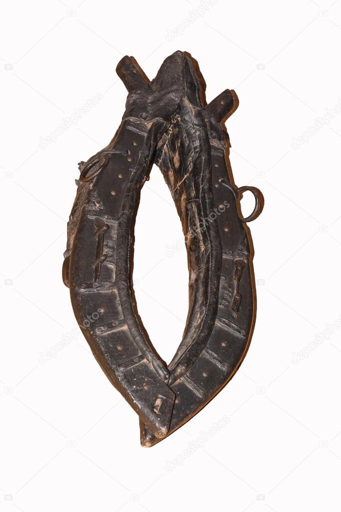 Horse tack on a wooden wall.