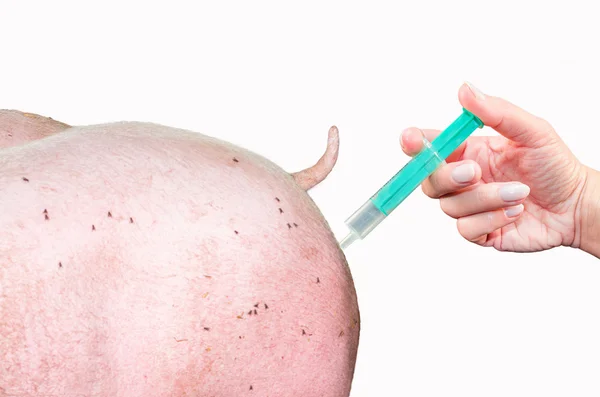Buttock of pork and a hand holding syringe. — Stock Photo, Image