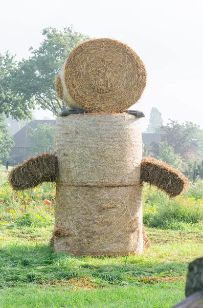 Hay bale postava, v přírodě. — Stock fotografie