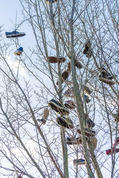 Viejo schottischeTraditon, Zapatilla lanzando o también llamado Shoefiti . — Foto de Stock