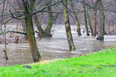 Şiddetli yağmur sular altında dolgu