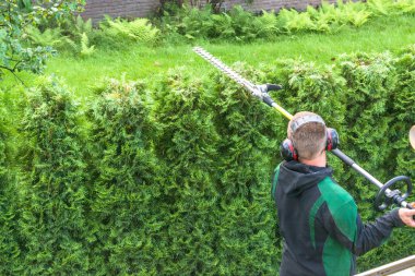 Hedge cutting petrol hedge trimmer.      clipart