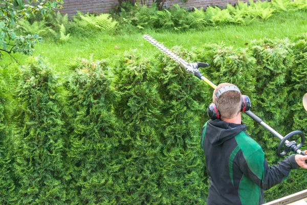 Hedge cutting petrol hedge trimmer. — Stock Photo, Image