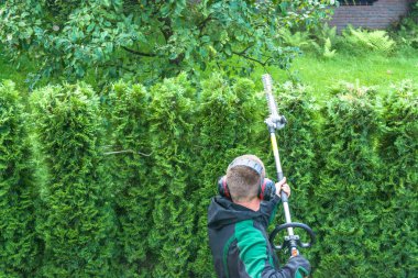 Hedges cutting with  telescopic hedge trimmer.      clipart