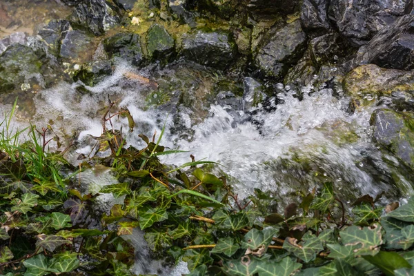 Pequeña cascada, cascada que fluye sobre rocas musgosas — Foto de Stock