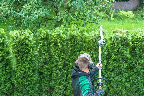 Cutting a hedge — Stock Photo, Image