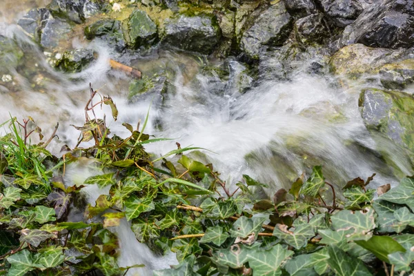 Pequeña cascada, cascada que fluye sobre rocas musgosas —  Fotos de Stock