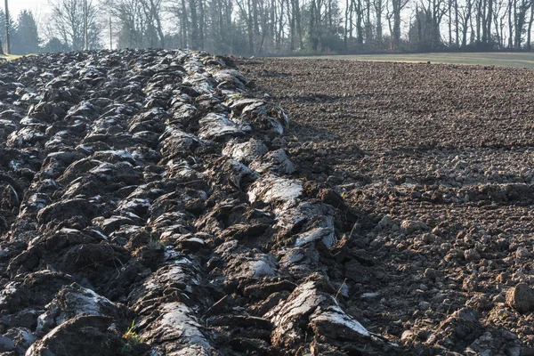 Campo recentemente arado na Alemanha . — Fotografia de Stock