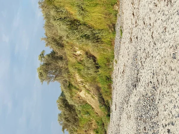 Darss Zingst Fischland Yakınlarındaki Baltık Denizi Nde Uçurum — Stok fotoğraf