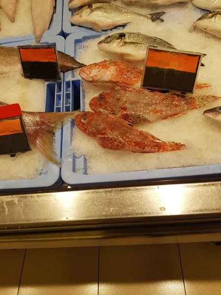 Peixes Frescos Mercado Peixe Porto Málaga Peixe Recentemente Capturado Gelo — Fotografia de Stock