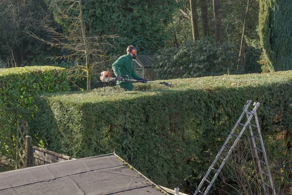 Bahçede Budanmış Çalılar Sonbahar Bahçıvanlığı — Stok fotoğraf