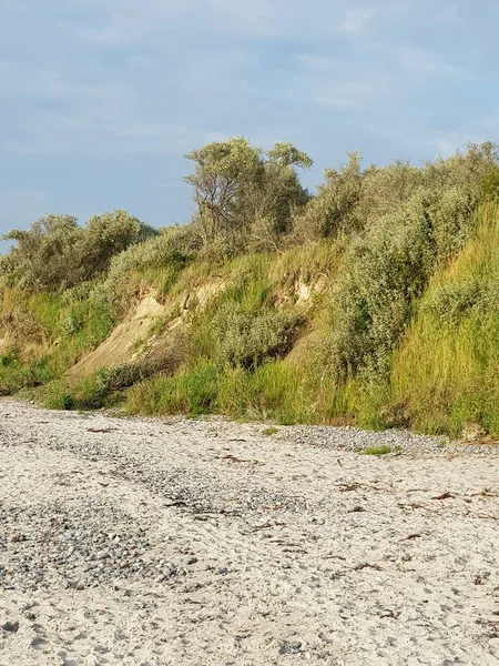 Urwisko Nad Morzem Bałtyckim Pobliżu Darss Zingchland — Zdjęcie stockowe