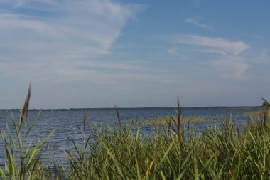 Vücut manzarası. Körfezden denize bak. Fischland-Darss-Zingst, Wieck am Dar yakınlarında.